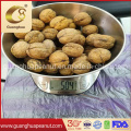 Delicious and Healthy Walnut in Shell